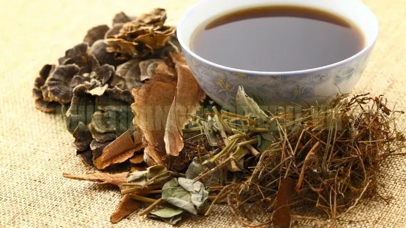 Cây cỏ xước - Bí quyết giảm đau nhức xương khớp tự nhiên 6