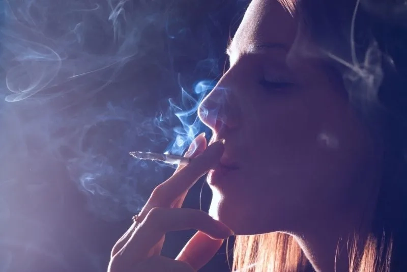 Khám phá ngay avatar ảnh mèo hút thuốc ngầu cực chất và đầy phong cách.