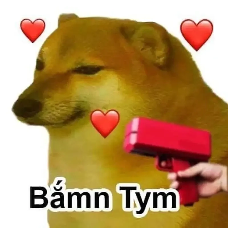 Hình chó meme luôn tạo nên một không gian đầy niềm vui.