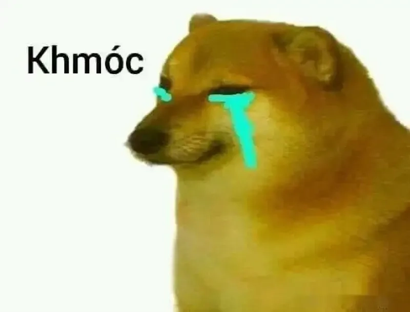 Bịt mõm chó meme thể hiện những biểu cảm đáng yêu không thể cưỡng lại.