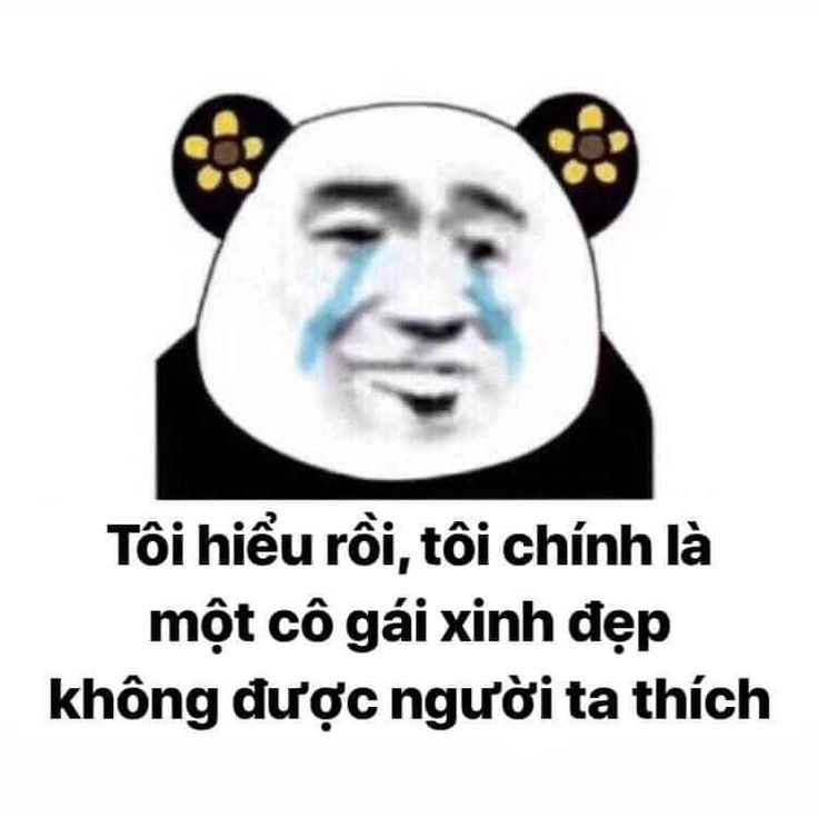 Meme gấu trúc thâm mắt này sẽ khiến bạn không thể dừng cười vì quá vui nhộn.