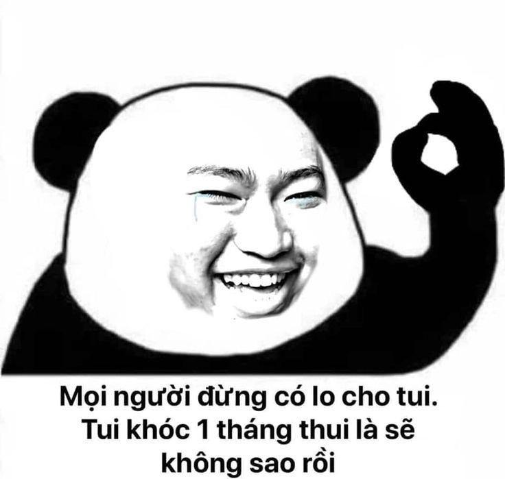 Meme gấu trúc ngạc nhiên này mang lại cảm giác bất ngờ và hài hước.