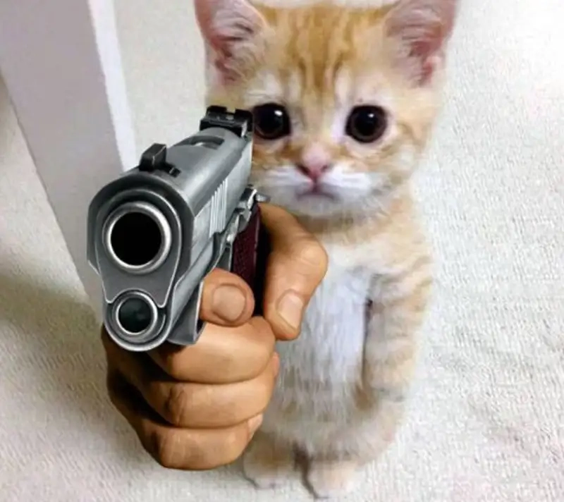 Meme khá bảnh thả tim khiến người xem không thể nhịn cười.