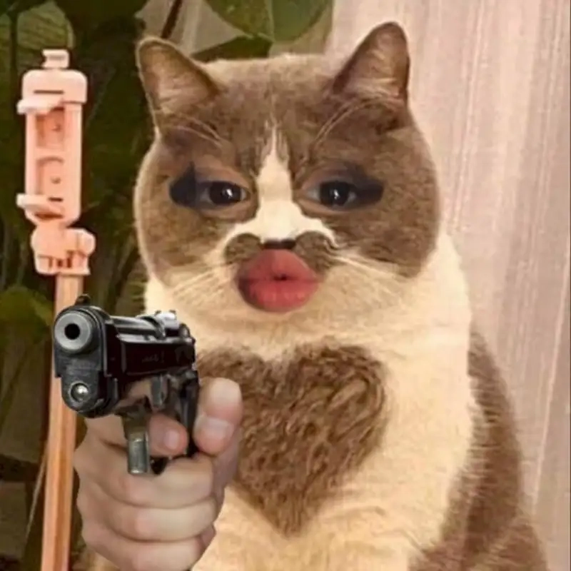 Mèo meme thả tim tạo nên sự dễ thương và vui nhộn.