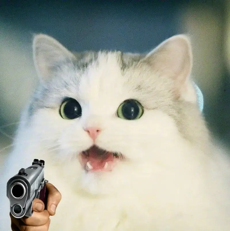 Trái tim meme mèo cute dễ thương đến mức không thể không yêu.