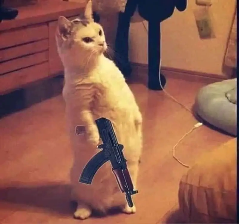 Meme tặng trái tim dễ thương và ấm áp, khiến bạn cảm thấy vui vẻ.