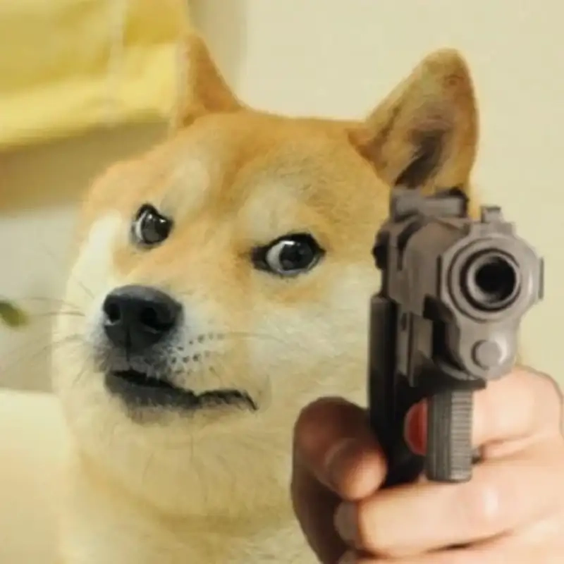 Meme bắn tim hài ngộ nghĩnh và sáng tạo.