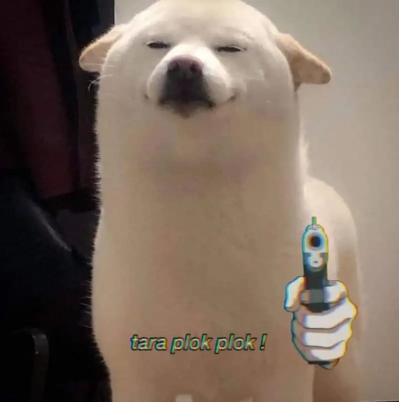 Tặng trái tim meme đáng yêu và đầy ý nghĩa.