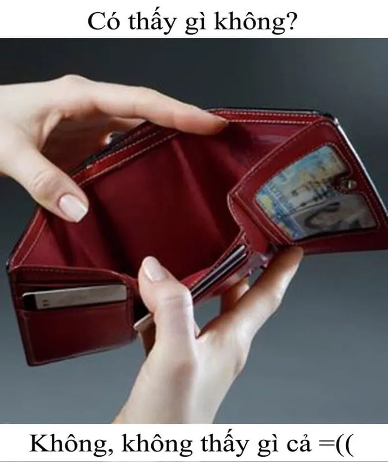 Tuyển tập ảnh meme tiền cực hài không thể bỏ qua.