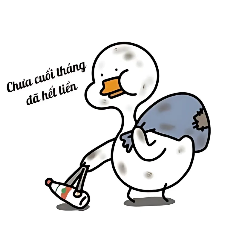 Những tiền đây meme hài hước đang gây sốt.