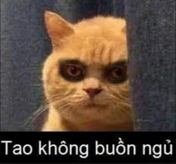 Hài hước với meme mèo cười đểu, biểu cảm cực ngầu.