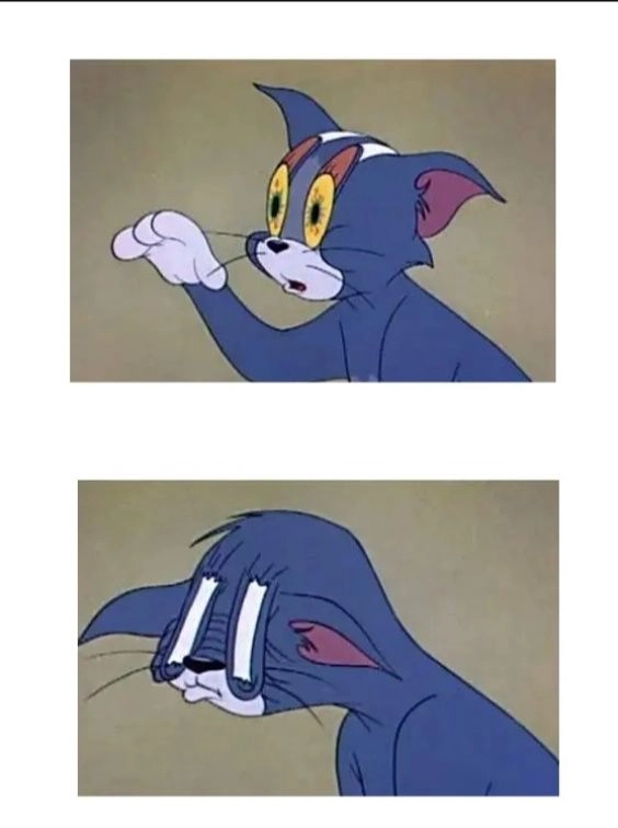 Khám phá meme ảnh mèo cute dễ thương và ngộ nghĩnh.