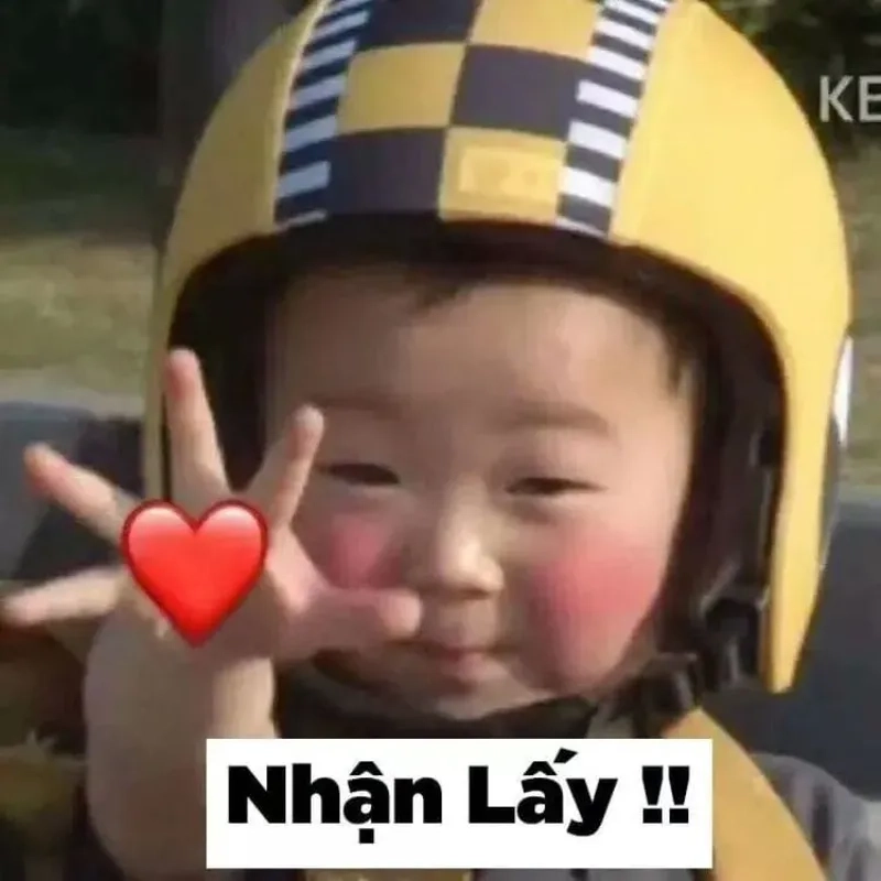 Những ảnh đau tim meme cực kỳ hài hước.