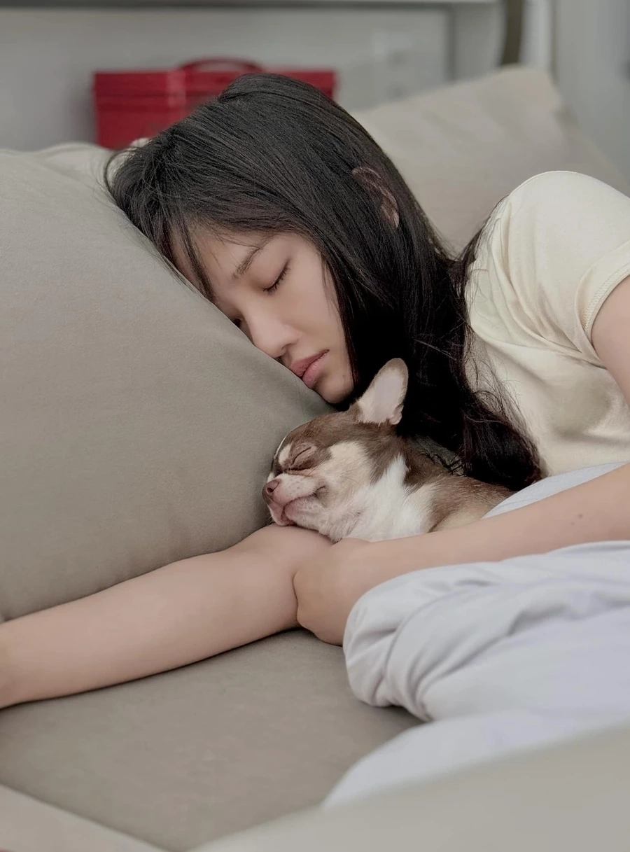 Phim Miu Lê đóng luôn được khán giả đón nhận nồng nhiệt.