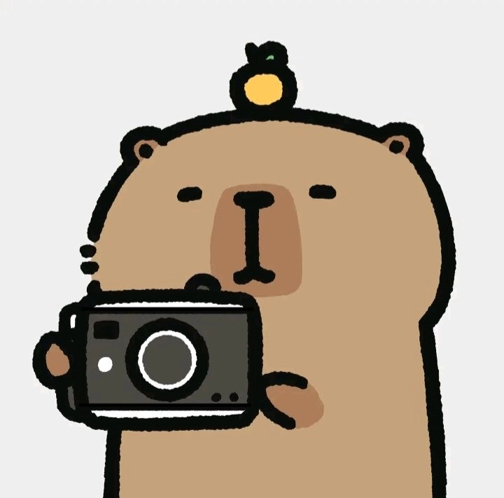 ảnh capybara avatar độc đáo và hài hước