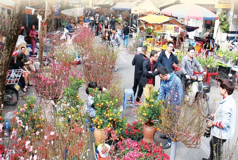 Hương Tết đậm đà trong ảnh phiên chợ ngày tết