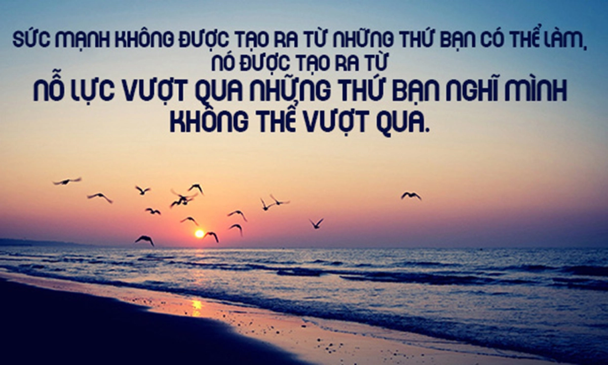 Khám phá hình ảnh về sự nỗ lực cố gắng mỗi ngày tiến bộ