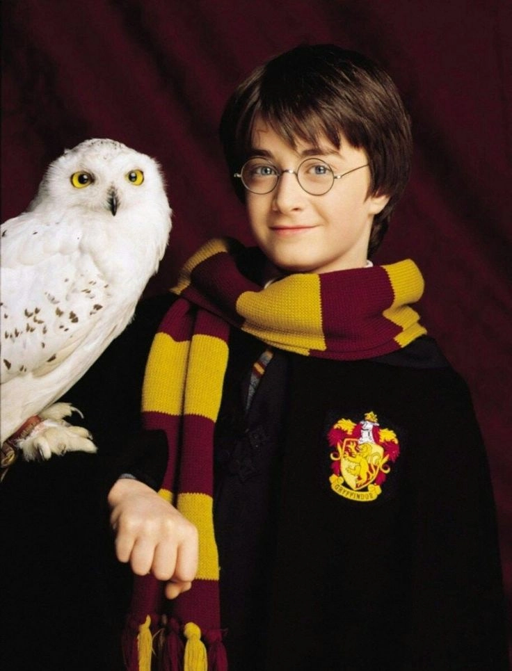 Nhìn lại ký ức với hình ảnh harry