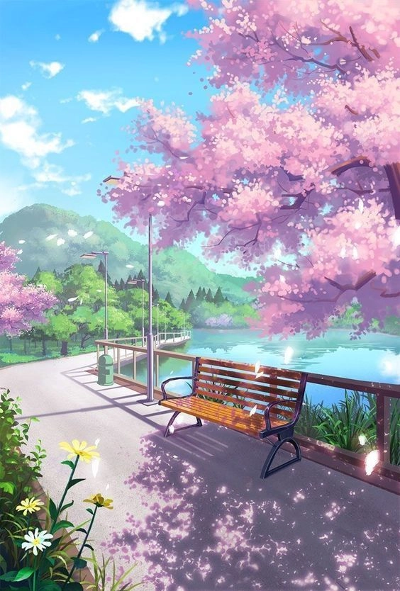 Mỗi lần mở máy thấy xuân ảnh nền điện thoại hoa anh đào