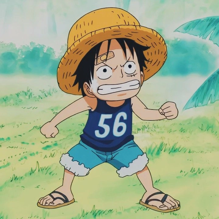 Tuyển chọn hình ảnh luffy lúc nhỏ đầy cảm xúc