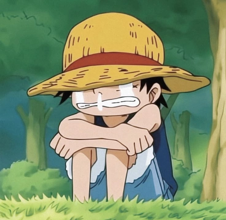 Ngắm hình ảnh luffy còn nhỏ cực đáng yêu