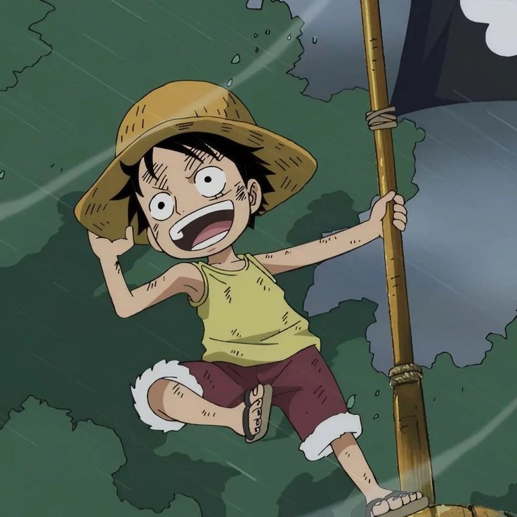 Bộ ảnh hình luffy hồi nhỏ cute dễ thương