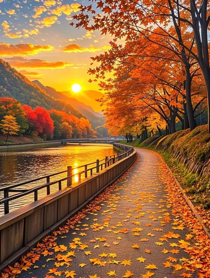 Lưu ngay hình ảnh con đường tình yêu cho không gian lãng mạn