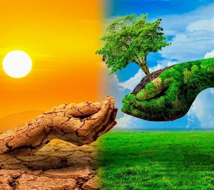 Nổi bật phong cách riêng ảnh hình nền oppo