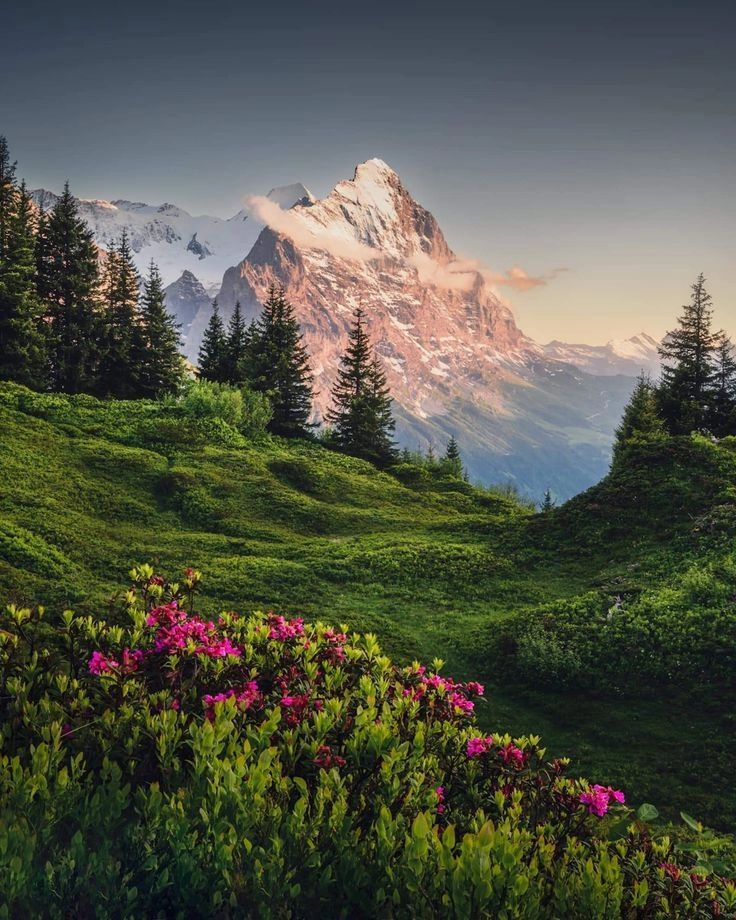 Say mê cảnh sắc từ hình ảnh đồi núi đẹp