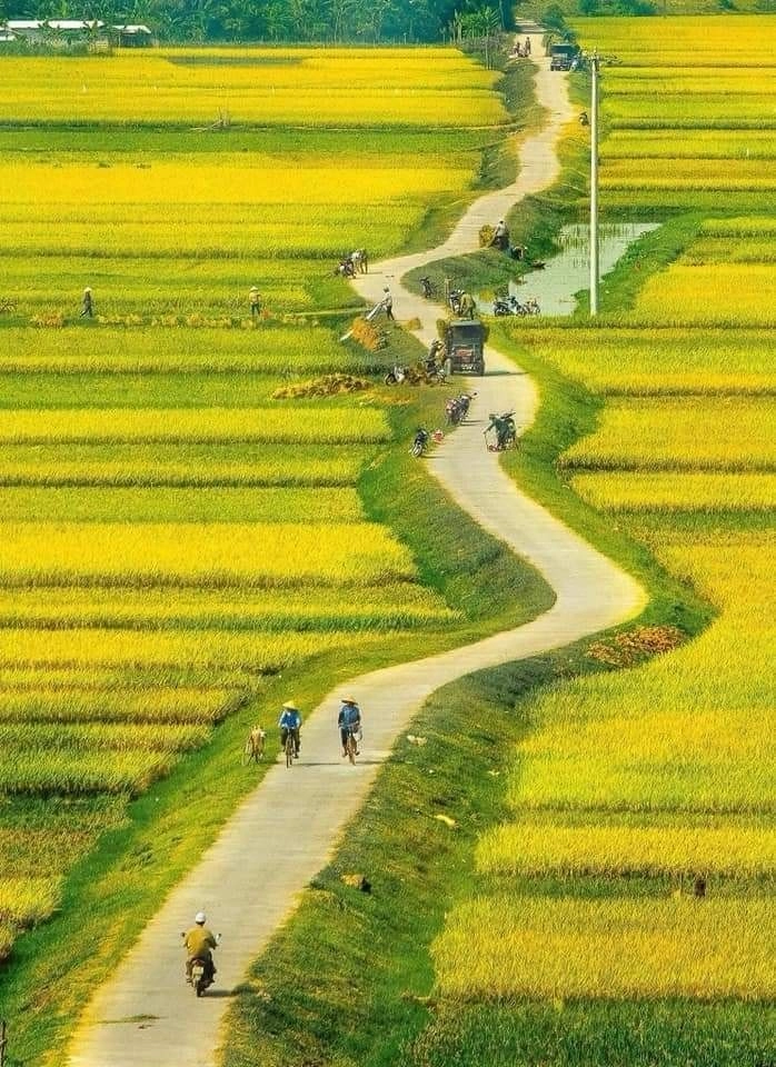 Hình ảnh quê hương đất nước con người việt nam làm ta nhớ mãi