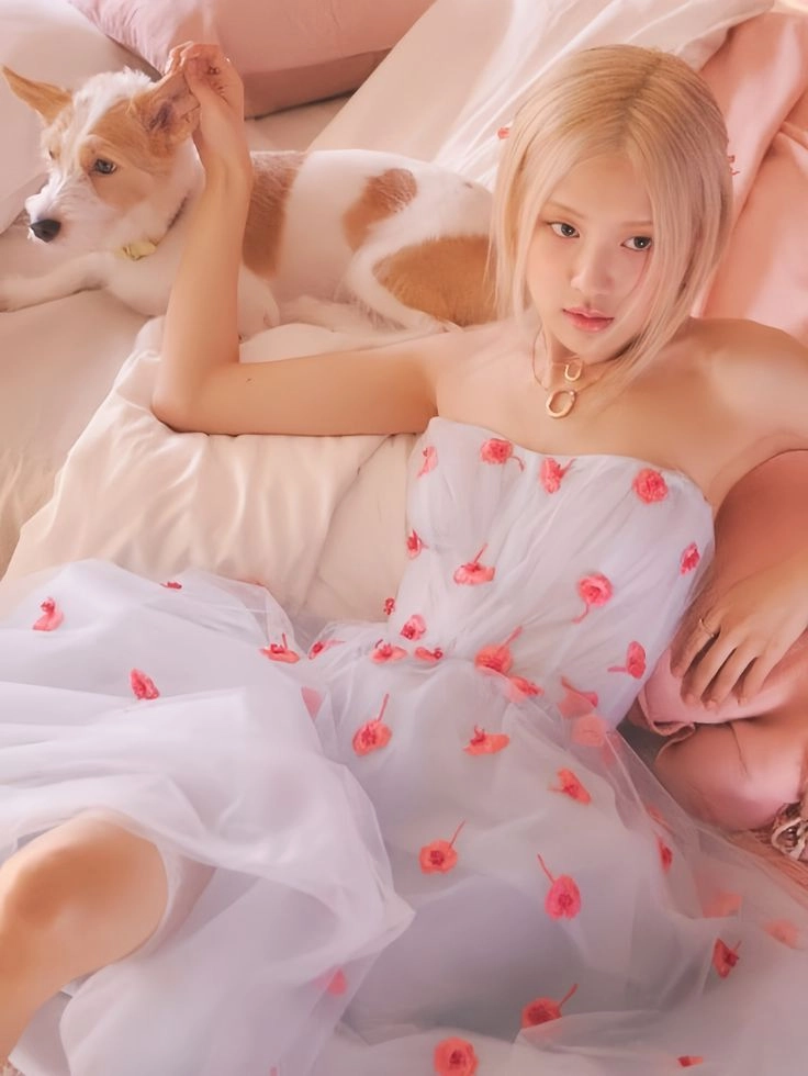 Hình ảnh mới nhất rose ảnh mới