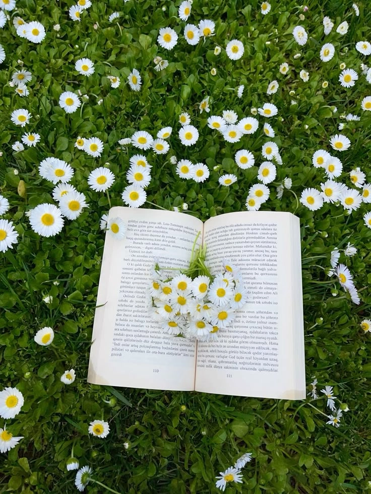 Tỏa sáng tinh thần với ảnh đẹp sách