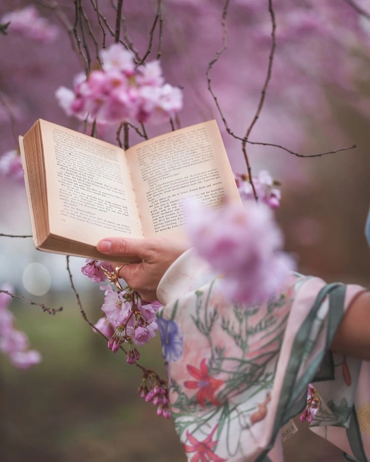 Tâm trạng thư thái với hình ảnh quyển sách đẹp