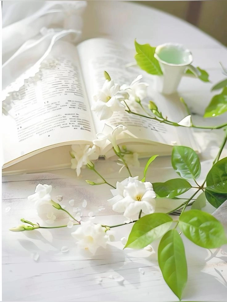 Yêu thêm mỗi phút giây hình ảnh đẹp về đọc sách