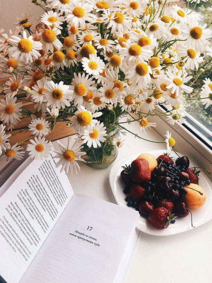 Hồi ức mờ nhòe trong hình ảnh trang sách đẹp