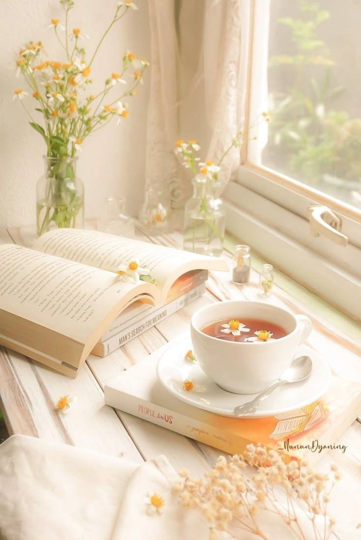 Tận hưởng phút lặng hình ảnh đọc sách đẹp