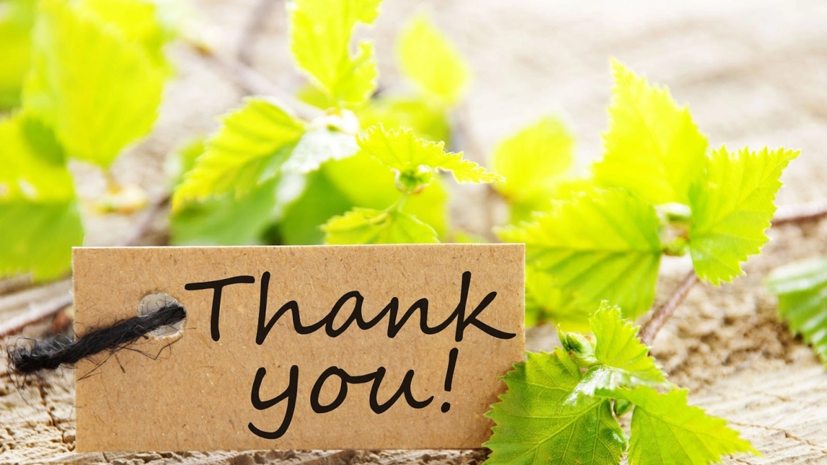 Chữ đẹp tinh tế trong thank you for watching text