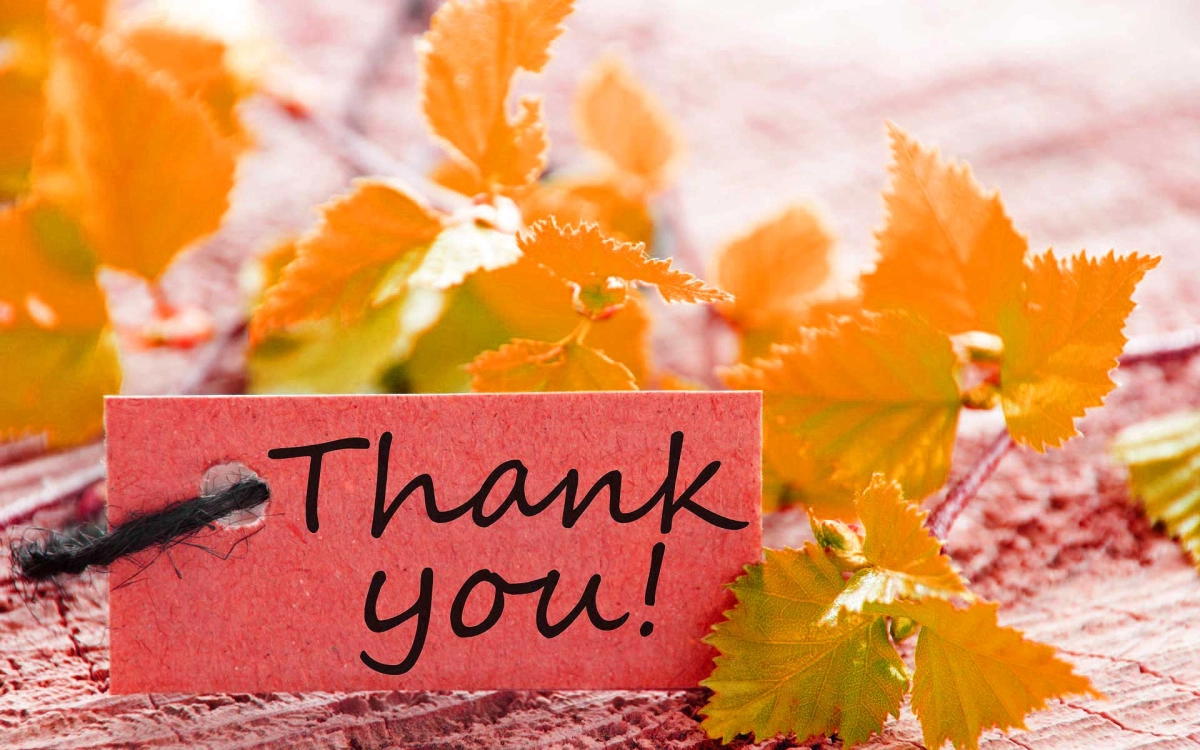 Trình chiếu sinh động với ảnh đông powerpoint thank you for watching