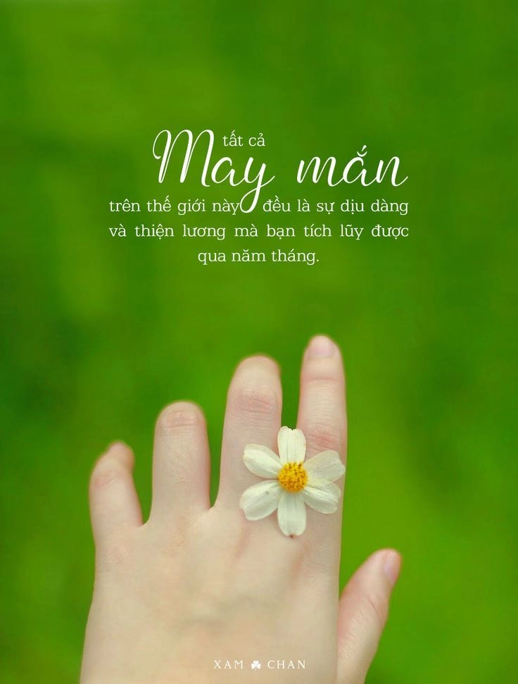 ảnh ý nghĩa cuộc đời được tìm kiếm nhiều như ảnh ý nghĩa cuộc sống