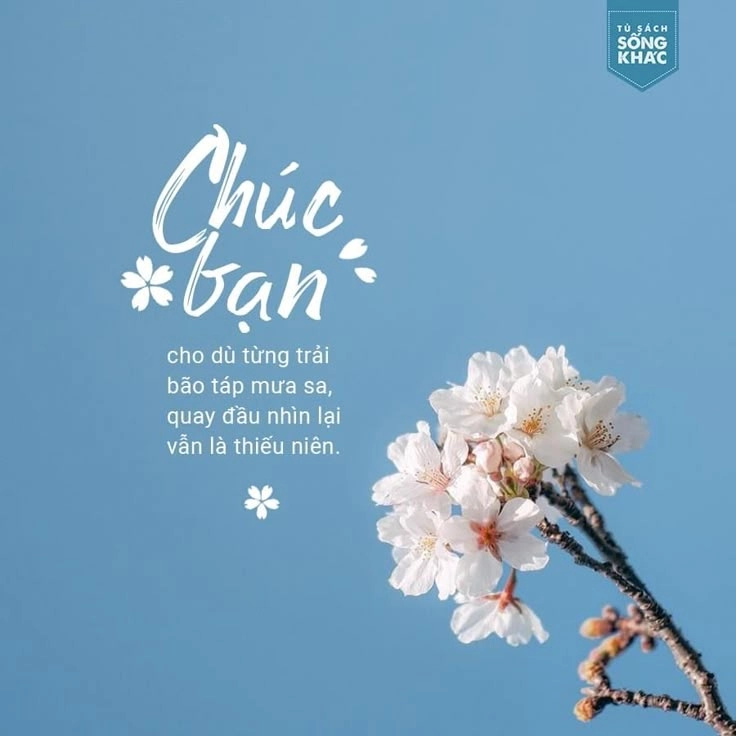 ảnh ý nghĩa về cuộc sống thu hút người xem bằng chất liệu cảm xúc