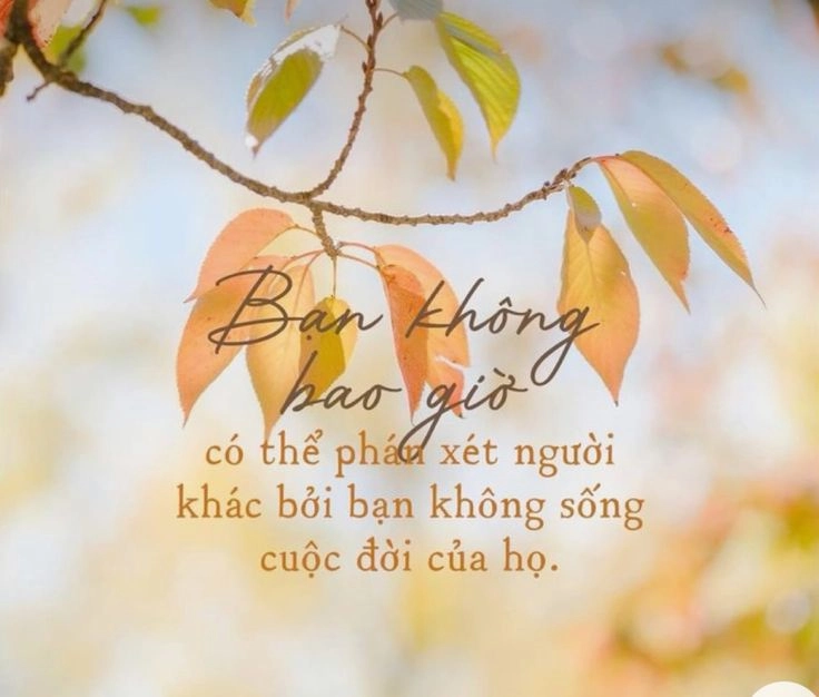 bức ảnh ý nghĩa cuộc sống góp phần định hình cảm xúc cá nhân