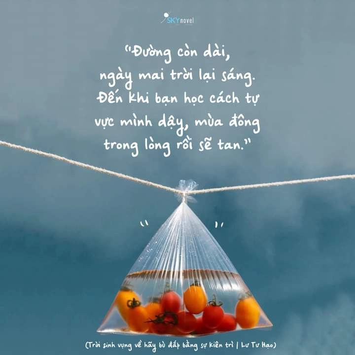 hình ảnh có ý nghĩa trong cuộc sống giúp nâng tầm ảnh ý nghĩa cuộc sống