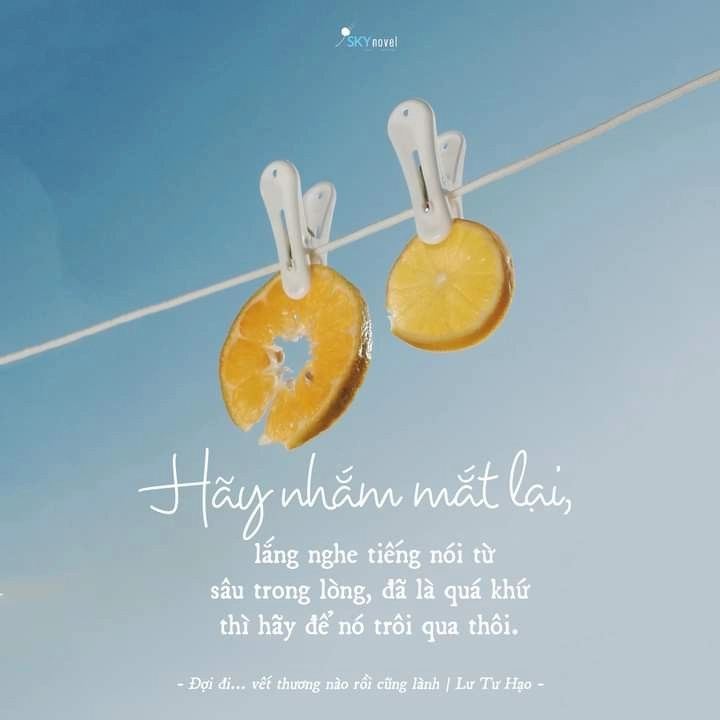 hình ảnh có ý nghĩa về cuộc sống gợi mở chiều sâu từ ảnh ý nghĩa cuộc sống