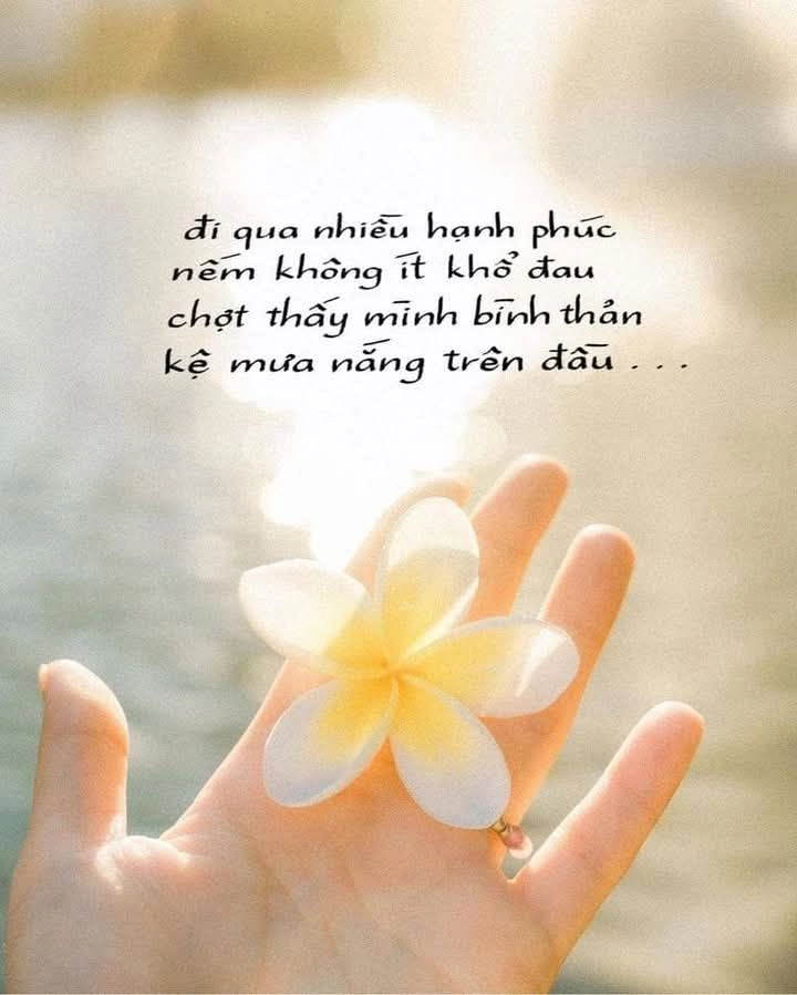 hình ảnh mang ý nghĩa cuộc sống đi sâu vào tâm trạng người xem