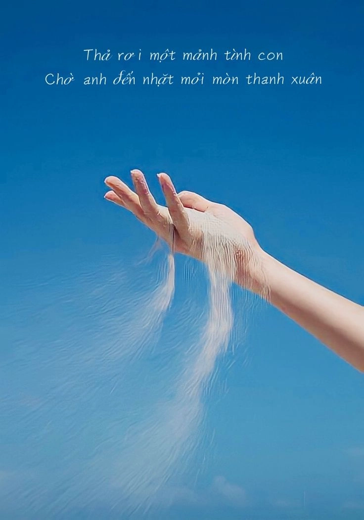 hình ảnh về ý nghĩa cuộc sống là một phần trong ảnh ý nghĩa cuộc sống