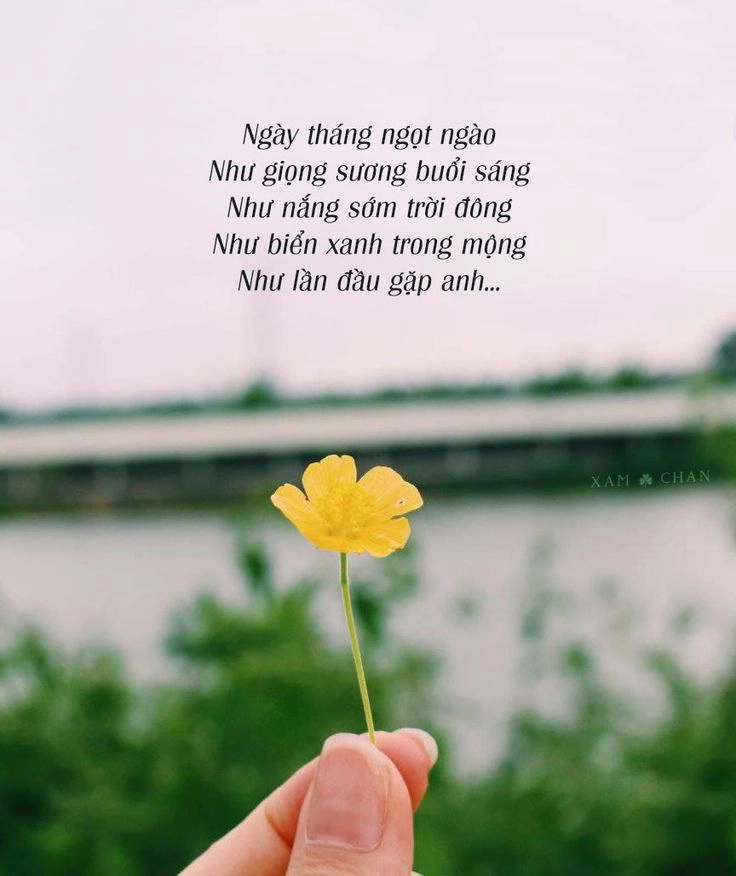 hình ảnh ý nghĩa trong cuộc sống thường gợi nhắc những giá trị sống sâu sắc