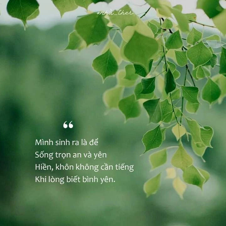 hình ảnh ý nghia ve cuoc song mang nhiều triết lý nhân sinh nhẹ nhàng
