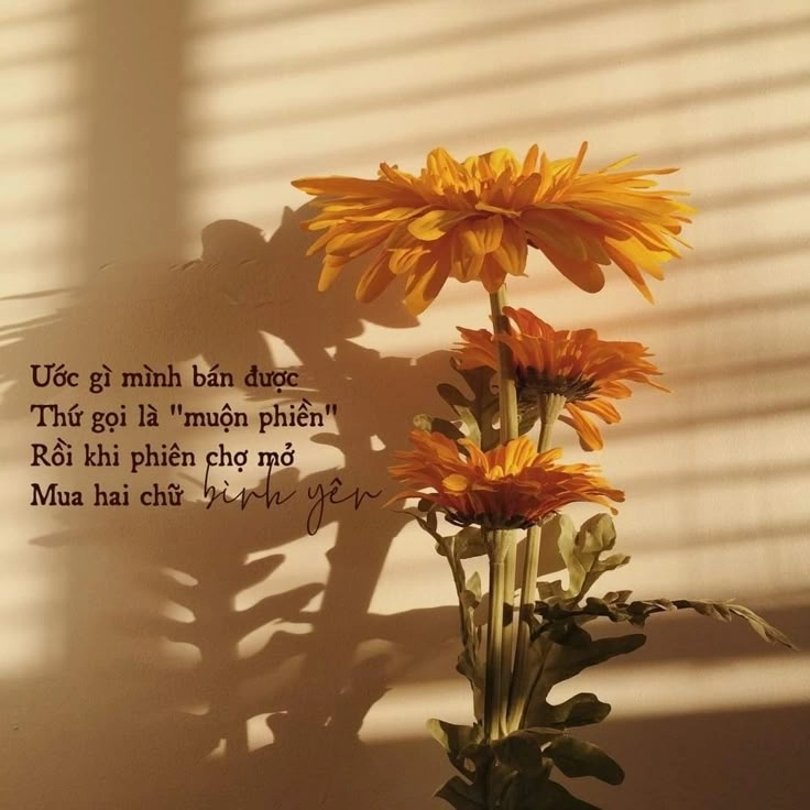 hình chữ ý nghĩa về cuộc sống làm nổi bật ảnh ý nghĩa cuộc sống đầy cảm xúc