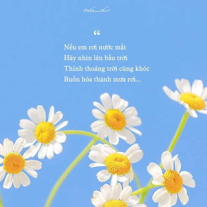 những hình ảnh có chữ ý nghĩa về cuộc sống dễ lan tỏa trên mạng xã hội