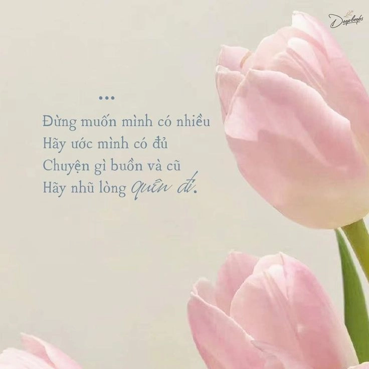 những hình ảnh có ý nghĩa trong cuộc sống được đánh giá cao trong ảnh ý nghĩa cuộc sống